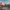 Family house &#8211; DIIM/SZF91