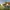 Family house &#8211; R13